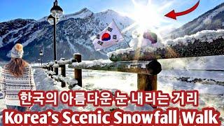 Walking Tour in Snow | Beautiful Winter in Korea | Snowfall