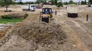 Great Operator Bulldozer SHANTUI Pushing Skill, Push the soil into the water With 25T Dump Truck