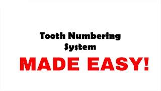 The Tooth Numbering System | Palmer, Universal and FDI System | Oral biology