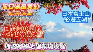 #日本富士山世界遺產中心#日本富士山必遊五湖#本栖湖#精進湖#西湖#河口湖#西湖療癒之里根場還願#河口湖最美的風景楓葉迴廊#精進湖是日幣1000元拍攝富士山的地方#日本富士山周邊自駕自由行18-4 。