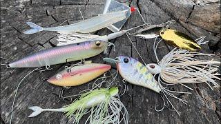 Baitman Live: Fall Fishing Best Baits You Need to Be Using!