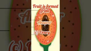 Fruit is formed from: #Ovary #science #viral #biology #sciencevideo