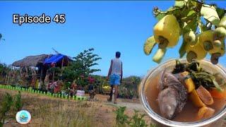 Harvesting cashew and mangoes and cooking delicious food | Biag Ti Away by Balong | Ep45