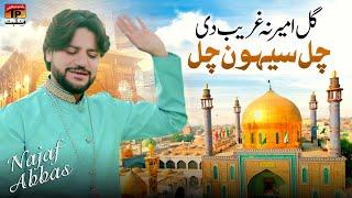 Gal Ameer Na Ghreeb Di Chal Sehwan Chal | Najaf Abbas | TP Manqabat