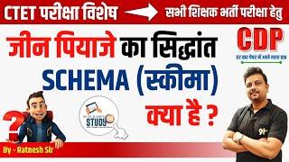 CTET | UPTET | STET | Jean Piaget Theory | जीन पियाजे का  सिद्धांत | Schema | स्कीमा | CDP | Study91