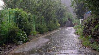 Rainy country road Comfortable rain sound ASMR heavy rain white noise for insomnia and good sleep