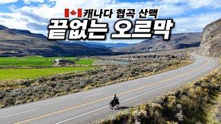  Bike Riding Through a beautiful Canyon pathway in Western Canada【Cycling around the Americas 30】