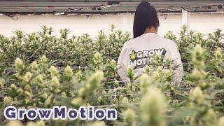 GrowMotion