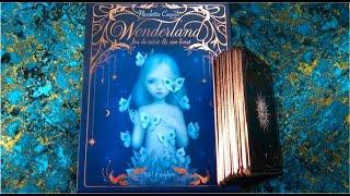 Nicoletta Ceccoli Wonderland Tarot Cards NEW Deck Release  I am SHOCKED! I did not expect this 