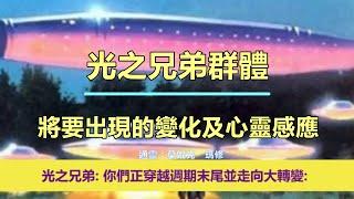 通靈信息【光之兄弟群體】《1》將要出現的變化及心靈感應；《2》為完美健康給身體編程（近期信息會集中收錄放在一起喔）