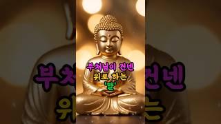 기댈 곳 없는 마음에 부처님이 건넨 말#부처님말씀 #마음공부#마음치유 #감정회복 #불교명언 #위로의말