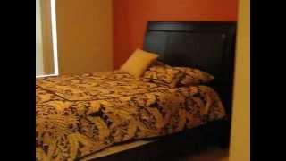 Walk through Lofts  at Post Oak