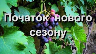 Початок нового сезону 2024