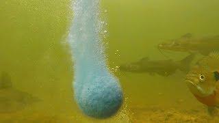 Fish Bait or Fisherman Bait? Bait Cloud Review - bass, bluegill, carp, catfish bait