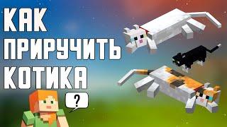 КАК ПРИРУЧИТЬ КОШКУ В MINECRAFT