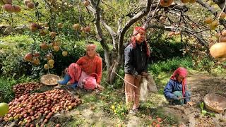 Organic Mountain Village Life | Most Peaceful and Relaxing Nature View | Nepali Mountain People