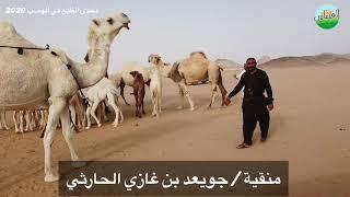 تحدي الطبع في آلهضب / منقية / جويعد بن غازي الحارثي 2020