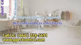 New Orleans Pest Control Company Ant, Cockroach, Flea, Mosquito, Moth Spider Termite Removal Service