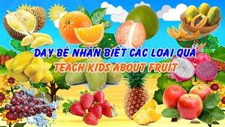 Dạy Bé Nhận Biết Các Loại Quả - TEACH KIDS ABOUT FRUIT - Song Ngữ Các Loại Quả