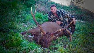 #waikarimoana Hunting Sambar deer with 308 Win in Down Under part 3