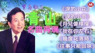 【老歌名曲精粹】青山 Qing Shan《淚的小雨》《淚的小花》《月兒像檸檬》《我在你左右》《幾度花落時》《往事只能回味》Mandarin Oldies 70's (拼音歌詞版)