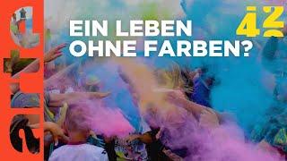 Warum sind wir so farbgesteuert? | 42 - Die Antwort auf fast alles | ARTE