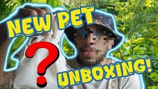 New Pet Unboxing | What's In The Bag? EazyBlueThumb