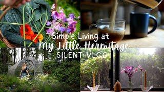 A Quiet Day in June | Simple Living in Washington | silent vlog from My Little Hermitage