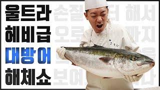 14kg 슈퍼 대방어 손질~ 어렵지 않습니다  (Yellowtail amberjack cutting sashimi)