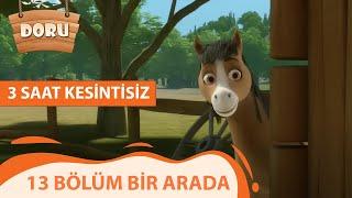 13 Bölüm Bir Arada | Doru | 3 Saat