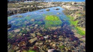 Places to see in ( Seahouses - UK )