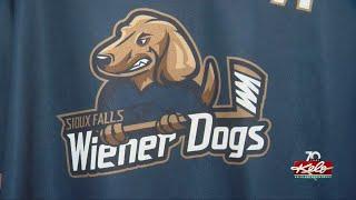 Stampede transforms into Fighting Wiener Dogs