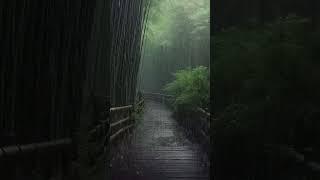 모두 #편안한밤 되세요 #잠들기전 #빗소리asmr #수면음악 #심신안정 #굿밤
