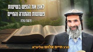 לאזן את הנפש בשיטות פשוטות מהתורה והחיים | הרב חיים אלוש שליט"א