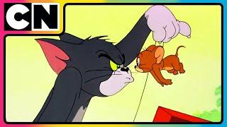 Tom & Jerry | The Craziest Cat and Mouse Mayhem! | Funny Cartoons | Compilation | @cnindia