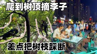 我们村的李子大丰收，和老公去摘点给李俊他们送过去，给钱人家硬是不要，弄的我都不好意思了