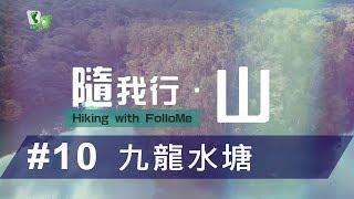 隨我行 · 山｜#10 九龍水塘【餵飼惹的禍】