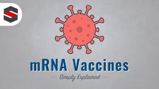 How mRNA Vaccines Work - Simply Explained