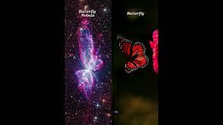 From DNA to Nebulas — The Patterns that Unite US! #space #universe #nebula #comparison #science