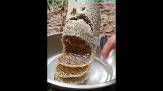  கடைசி வரை பாருங்க | Why Honey Does not Spoil | Fact Flow Studio in Tamil #short #facts