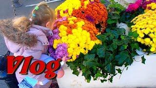Liliia FranceОформляю документы//ЛАНЧБОКС-Чем питаюсь на курсахСЕРЕБРО от Tardoo