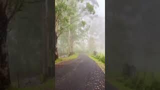 Kodaikanal road Jillu climate Traveling Vlog