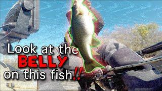 Fish the Moment with Buzzed Baits | BassSniperScooter