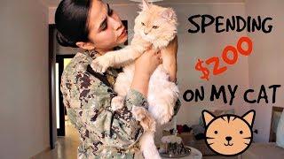 I SPENT $200 ON MY CAT | AMAZON CAT MUST HAVES