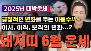 2025년 6월 돼지띠운세 정말 힘든 오르막을 걷다가 평지를 만난 듯한!! [양평용한점집 청화신당]