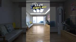 #덕이동빌라 #덕이동빌라매매 초급매 1억3천 만원