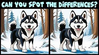 Find 3 Differences  Attention Test  A test for the most attentive  Round 439