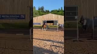 When your instructor can get your horse to do flying changes bareback with deck shoes on!!