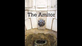 The Amitor