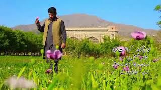 kiramat shah shangla pary new best ghazal relez shola